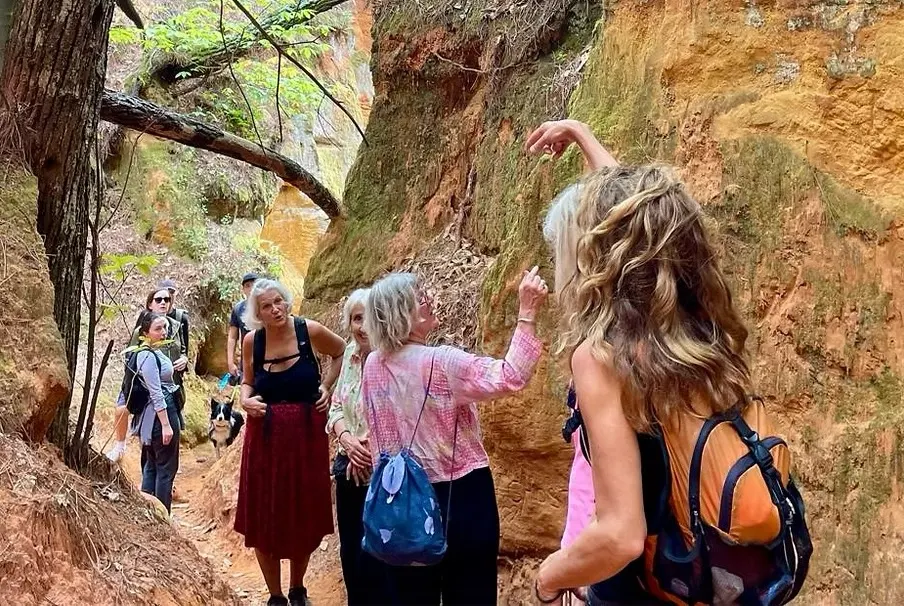 Group Hikes