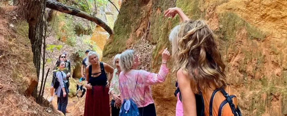 Group Hikes