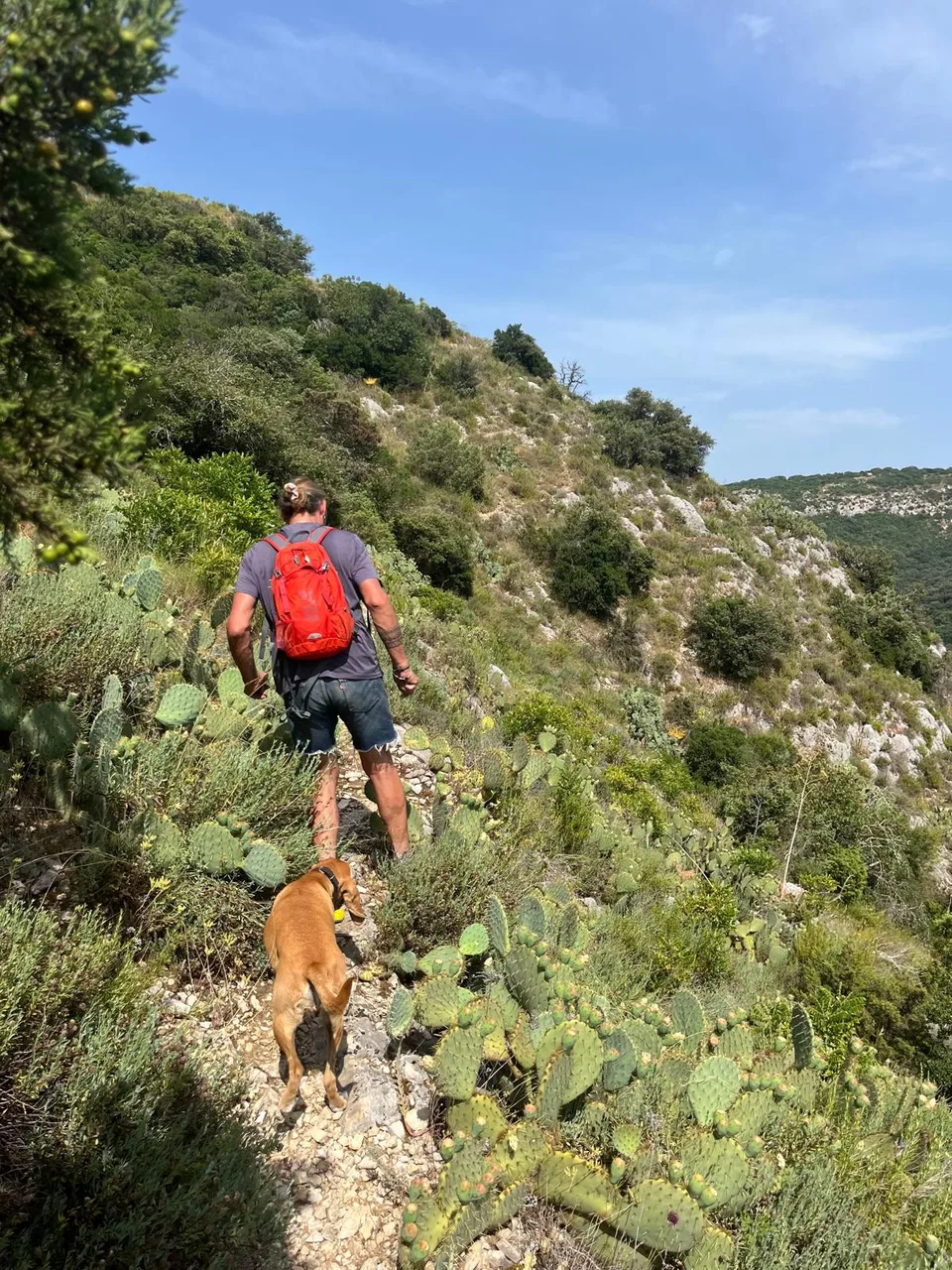 Ridge walk in Provence